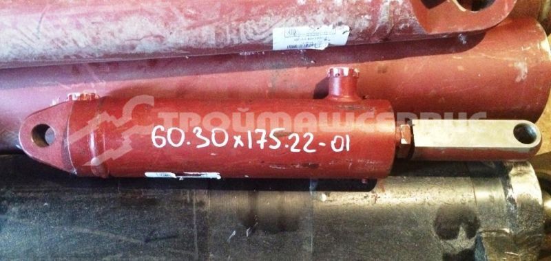 Гидроцилиндр ЦГ-60.30х175.22-01