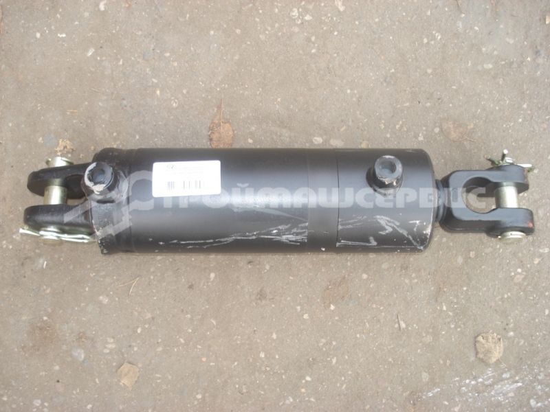 Гидроцилиндр рабочего органа ЦГ-100.50х200.01